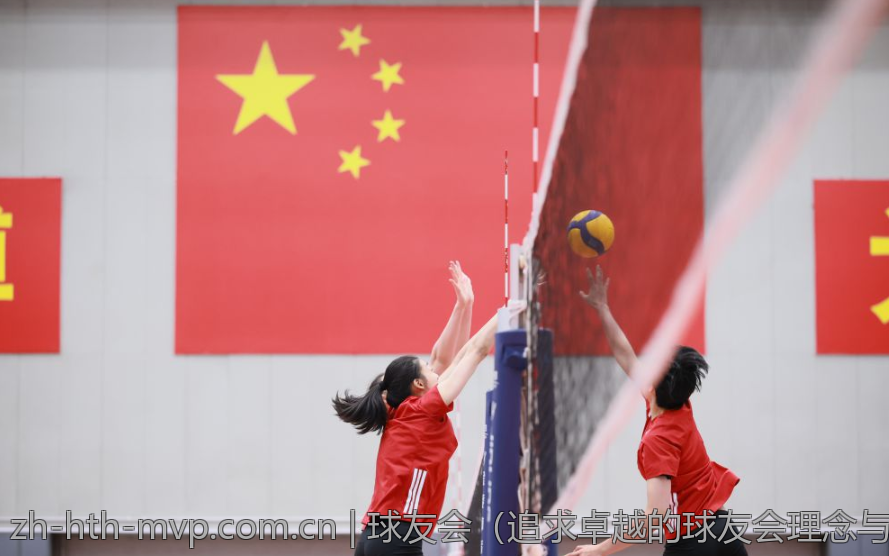 球友会（追求卓越的球友会理念与实践）